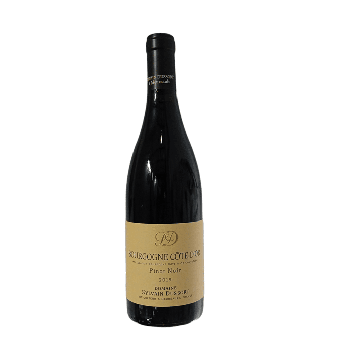 Bourgogne Pinot Noir Cote D'Or 2019 Sylvain Dussort AOC